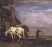 POTTER, Paulus Two Drafthorses in Front of a Cottage (mk05) oil painting on canvas
